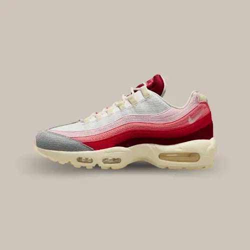 Nike Air Max 95 Anatomy of Air Offsneakz