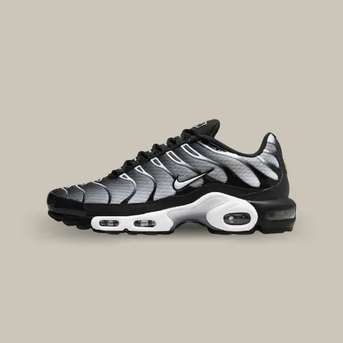 Nike Air Max Plus TN Black Grey Offsneakz