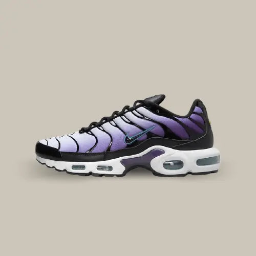 Nike Air Max Plus TN Reverse Grape Offsneakz