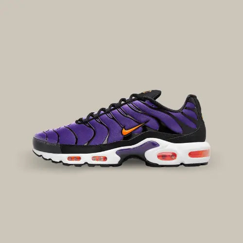 Air max violet et noir best sale