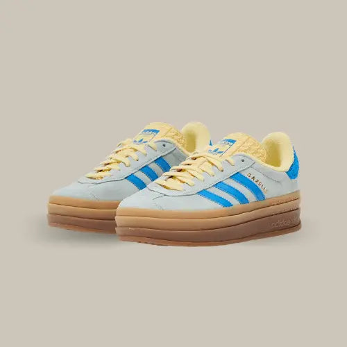 Gazelle bleu et jaune online