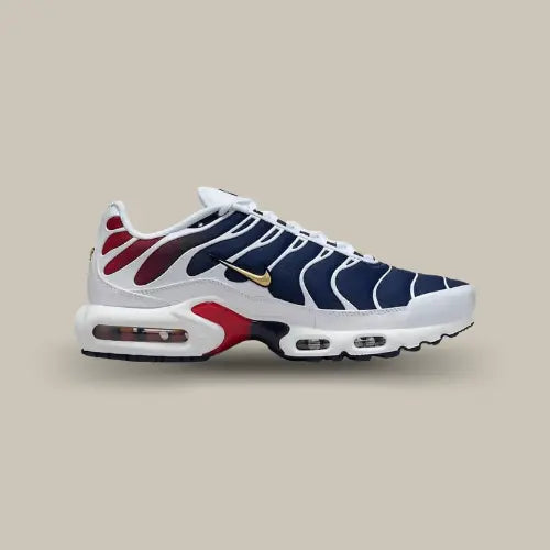 La Nike Air Max Plus PSG vue de côté avec son dégradé allant du bleu marine au rouge avec des empiècements blancs.